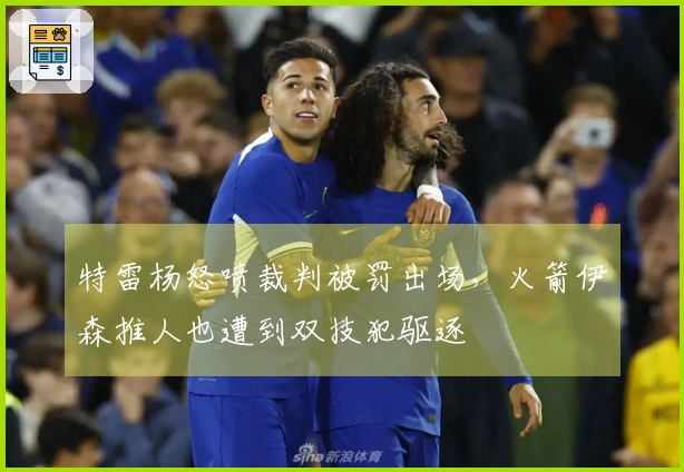 特雷杨怒喷裁判被罚出场，火箭伊森推人也遭到双技犯驱逐