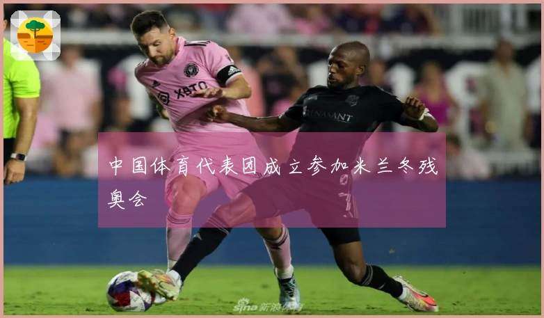 中国体育代表团成立参加米兰冬残奥会
